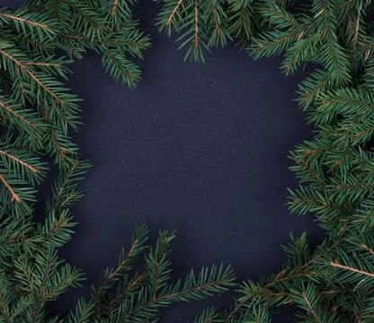 Square composition frame of fir branches on black background Christmas backgr Stock Photos