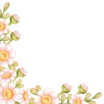Square corner daisy frame watercolor Illustrazione stock