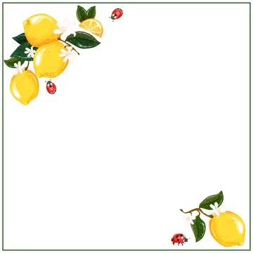 Square corner frame with citrus lemon flower and ladybugs. White background Stock Illustration