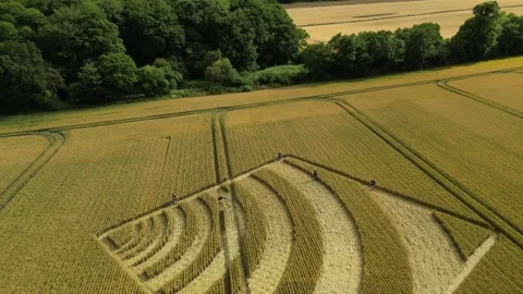 Square Crop Circle, 4K Amazing Drone View, Winchester, 4th July 2023, 4K Stock Footage 265351839