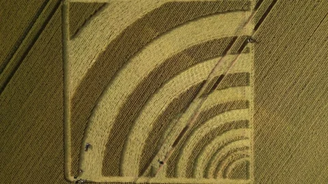 Square Crop Circle, 4K Drone View, Winchester, 4th July 2023, 4K Stock Footage 265259725