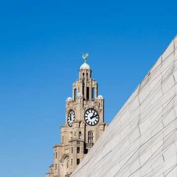 Square crop of the Liverbird Photos