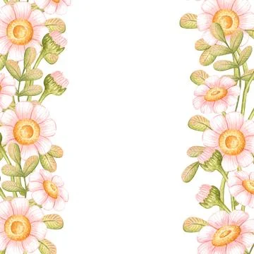 Square daisy frame left right watercolor Illustrazione stock