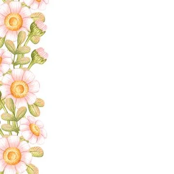 Square daisy frame left side watercolor Illustrazione stock