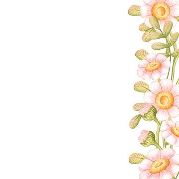 Square daisy frame right side watercolor Illustrazione stock