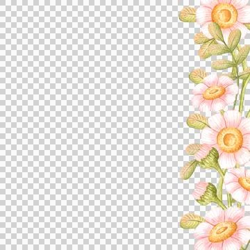 Square daisy frame right side watercolor Illustrazione stock