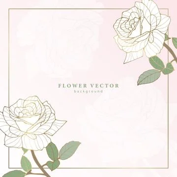 Square delicate floral background with white roses and golden stroke. Stock Illustration