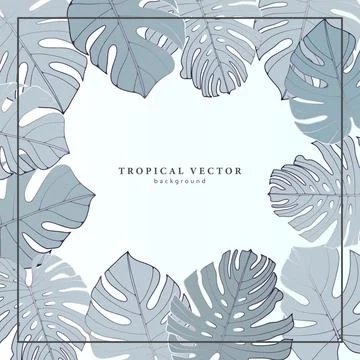 Square delicate tropical background with monstera leaves in blue tones. Stock Illustration