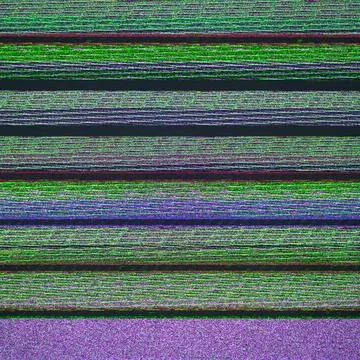 Square digital glitch noise texture abstract Stock Photos
