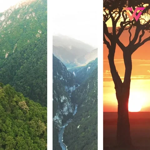 Square Elegant Slideshow | Social Media Slideshow Stock After Effects