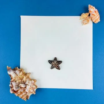Square Envelope with Seashell Flower Seal on Blue Background. Stock Photos