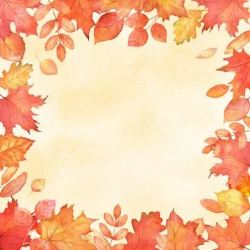 Square fall frame with red leaves. Autumn falling maple leaves 스톡 일러스트