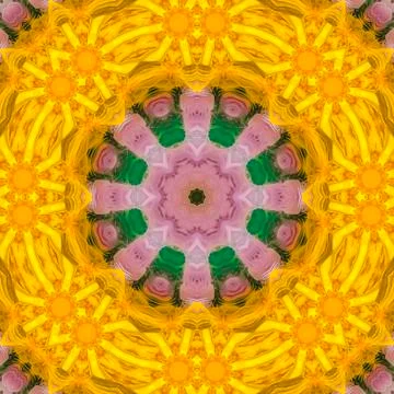 Square Feathers made into a circle shape with points Stock Photos