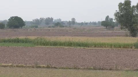 The square fields of the rural farmlands Stock Footage 111887237