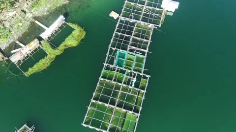 Square fish cages floating in Lake Ranu Pakis, Lumajang, East Java, Indonesia. Vídeos de archivo 271170735
