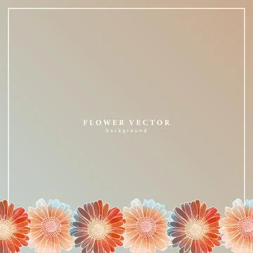 Square floral background with red marigold flowers. Stock Illustration
