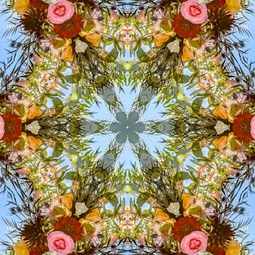Square Flowers that are pink and red into a shape made from reflections Stock Photos