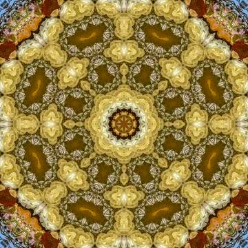 Square frame Abstract angular field of flowers in circular arrangement at 写真素材