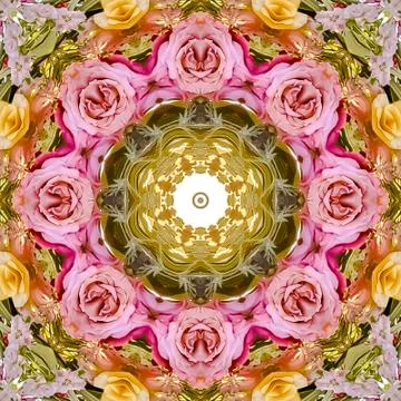 Square frame Abstract circular floral design with pink yellow and red roses on a Stock Photos
