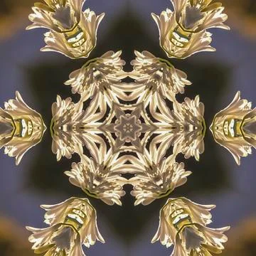 Square frame Abstract star shape with circular snowflake style look made from Stock Photos