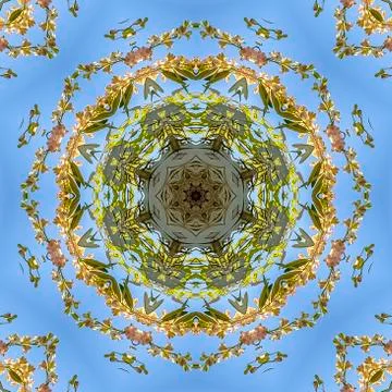 Square frame Abstract view of flowers in circular arrangement at wedding in Stock Photos
