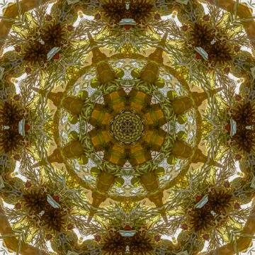 Square frame Angular view of leaves of a flower arrangemnet no petals Foto stock