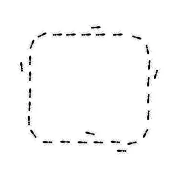 Square frame. Ant trail silhouette, a path of insects in search of food Stock Illustration