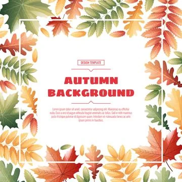 Square frame with autumn leaves of maple, rowan, oak. Autumn background with  Stock Illustration