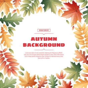 Square frame with autumn leaves of maple, rowan, oak. Autumn background with  Stock Illustration