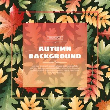 Square frame with autumn leaves of maple, rowan, oak. Autumn background with  Stock Illustration