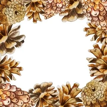 Square frame background with pine cones Stock Illustration