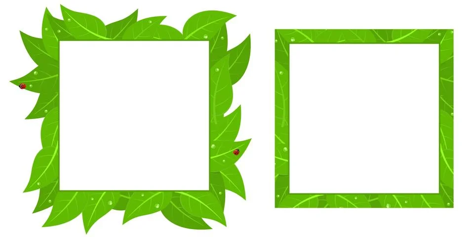 Square Frame Banner With Red Ladybugs And Green Leaves with Water Drops Isolated Stock Illustration