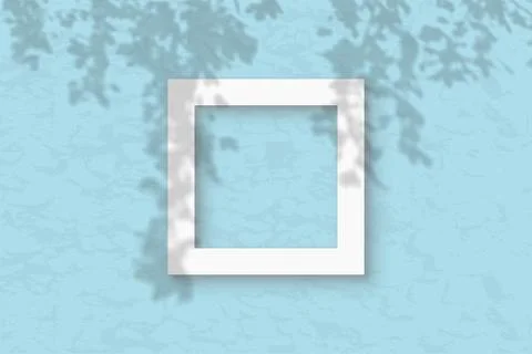 The square frame on the blue wall background. Mockup overlay with the plant Stock Illustration