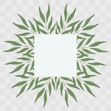 Square frame border made of Olive twigs Minimalistic Flat botanical composition Illustrazione stock