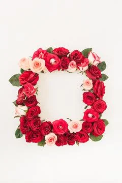 Square frame border of pink, red rose flowers on white background. Mockup bla Stock Photos
