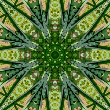 Square frame Busy angular design created from a green bridge in California on a 写真素材