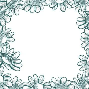 A square frame with chamomile flowers spilling over the edges. Linear vecto.. Stock Illustration