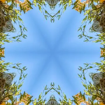 Square frame Circular and angular floral design with colorful flowers from a Foto stock