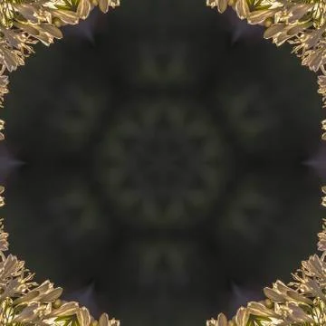 Square frame Circular design with copy space made from white flowers with dome 写真素材