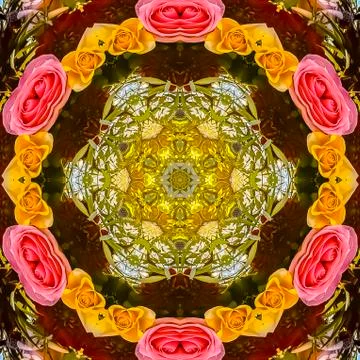 Square frame Circular design of roses with green leaves and sky Foto stock