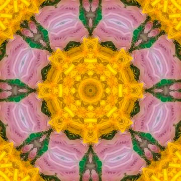 Square frame Circular feathers in yellow on purple and green 写真素材
