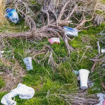 Square frame Close up of grassy ground littered with discarded plastics and Stock Photos