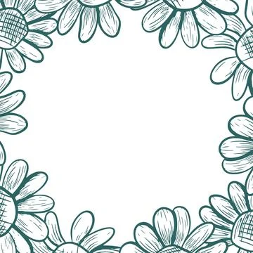 A square frame with daisies. Vector frame in line art style. Botanical draw.. Stock Illustration