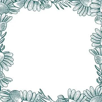 A square frame with daisy flowers and leaves extending beyond the edges. Li.. Stock Illustration
