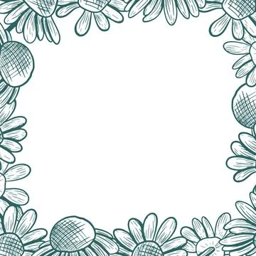 A square frame with daisy flowers spilling over the edges. Linear vector bo.. Stock Illustration