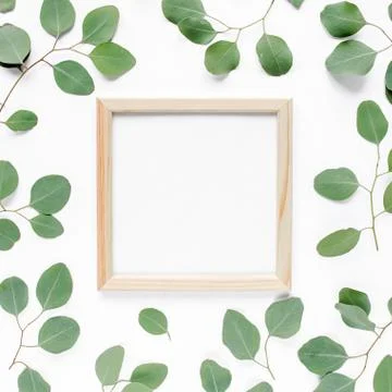 Square frame decorated with green eucalyptus leaves, twigs, floral pattern on a Stock Photos