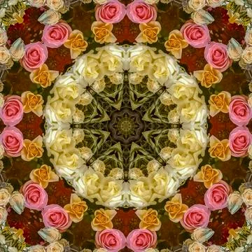 Square frame Design pattern made from pink yellow white orange roses at wedding Stock Photos