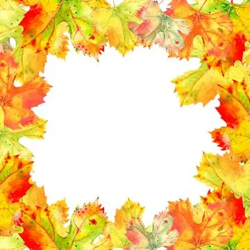 Square frame of fall grape vine leaves. Autumn foliage on the white background Stock Illustration