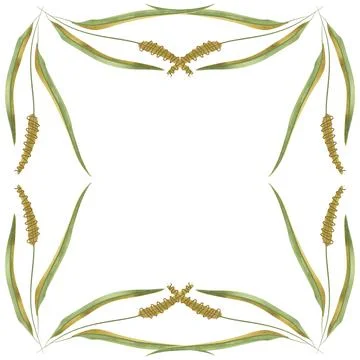Square frame of field grasses, cereals, ears and leaves. Decor for graphic Stock Illustration