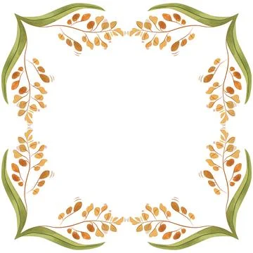 Square frame of field grasses, cereals, ears and leaves. Decor for graphic Stock Illustration